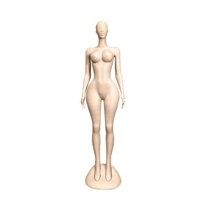 Manichini femminili di dimensioni della vita